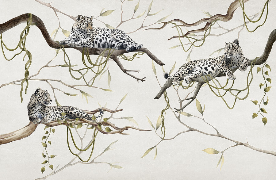 Groupe de léopards couchés sur des branches Groupe de léopards couchés sur des branches