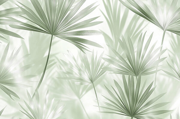Les feuilles d'un vert tendre dansent dans la lumière Les feuilles d'un vert tendre dansent dans la lumière