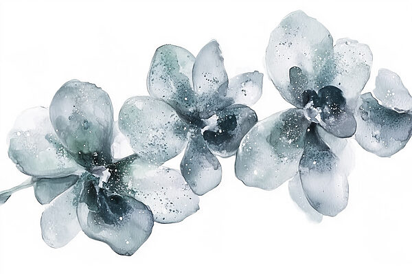 Groupe de fleurs sur fond blanc Groupe de fleurs sur fond blanc