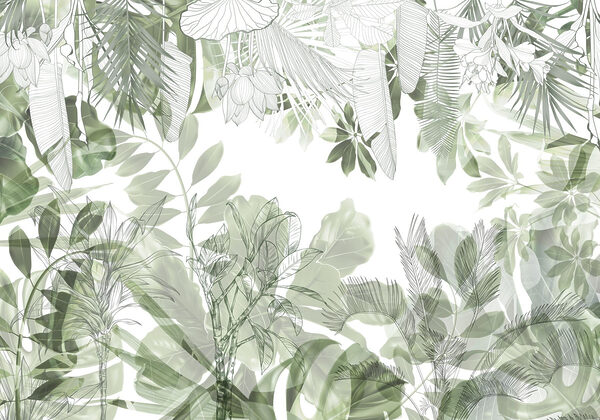 Beauté botanique dans des verts doux Beauté botanique dans des verts doux