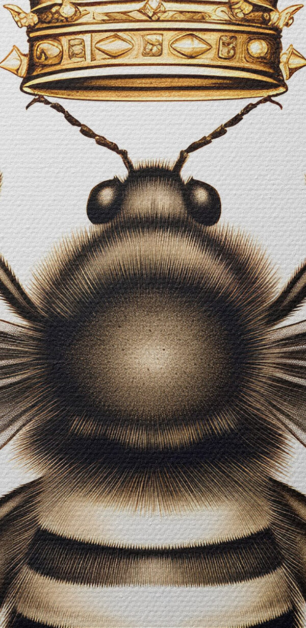 Abeille avec une couronne sur la tête Abeille avec une couronne sur la tête