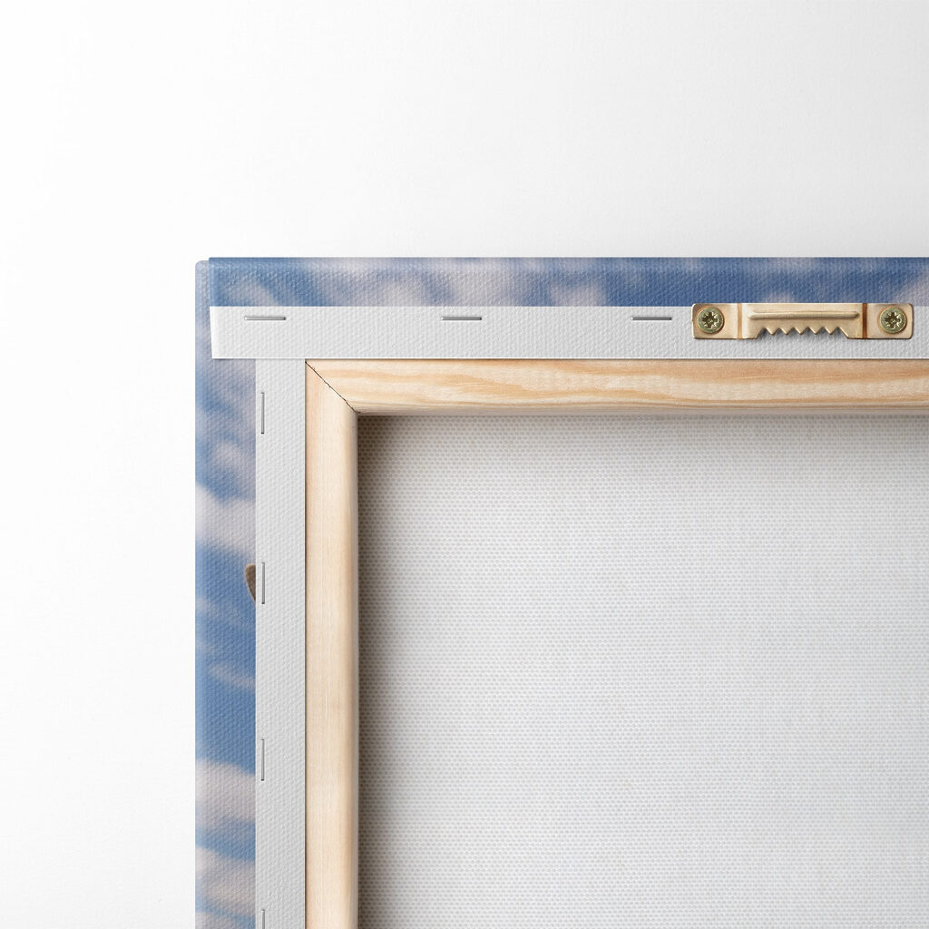 Two giraffes standing in a field