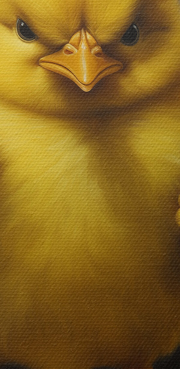 Poussin jaune debout sur un rocher Poussin jaune debout sur un rocher