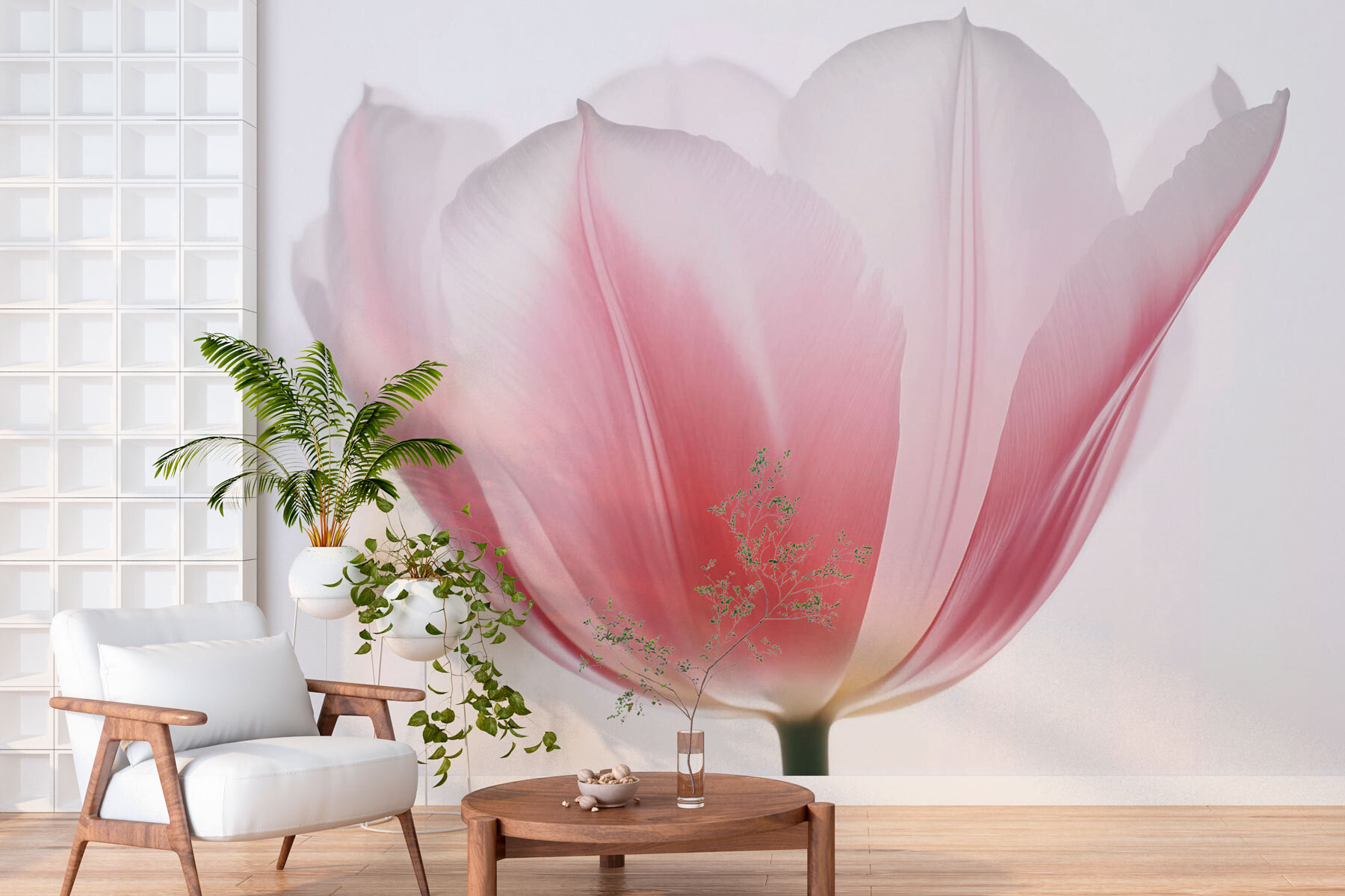 Delicate petals of soft hues