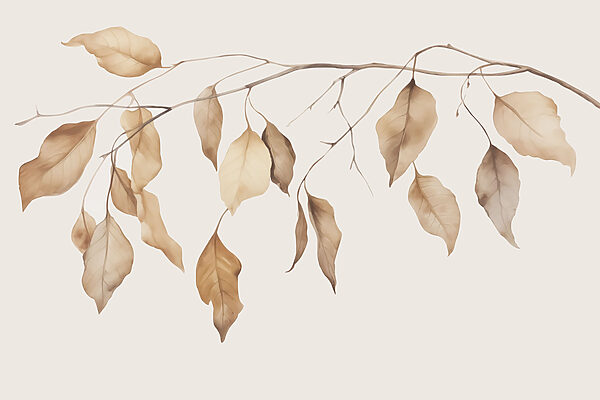 Branche avec des feuilles brunes Branche avec des feuilles brunes