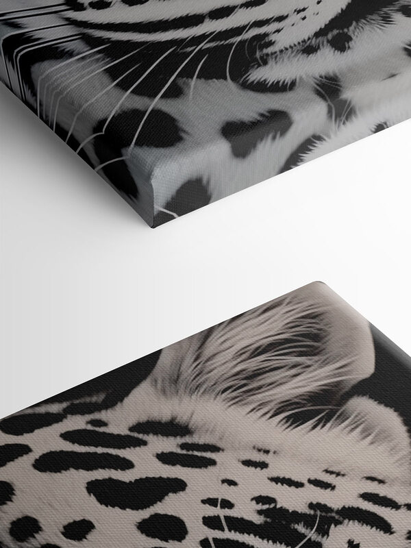 Une beauté saisissante en noir et blanc Une beauté saisissante en noir et blanc