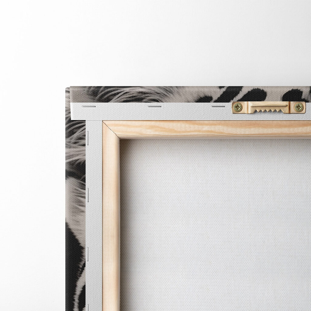 Striking beauty in black and white