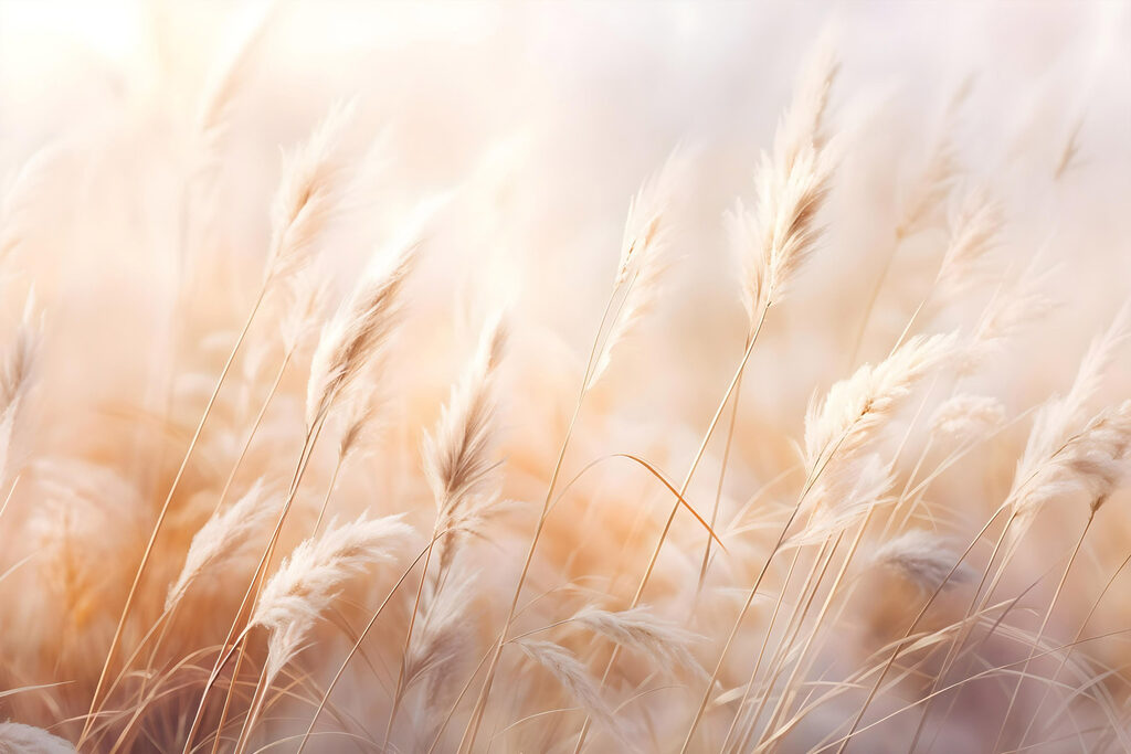 Soft grasses dancing in the breeze