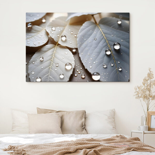 Les délicates gouttelettes de la nature sur les feuilles Les délicates gouttelettes de la nature sur les feuilles