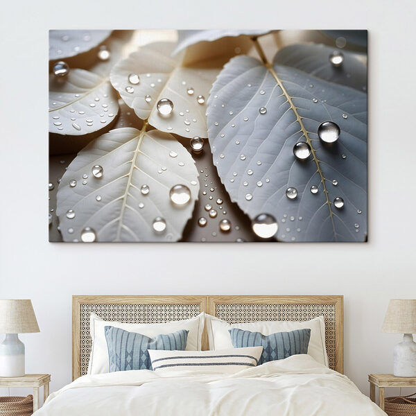 Les délicates gouttelettes de la nature sur les feuilles Les délicates gouttelettes de la nature sur les feuilles
