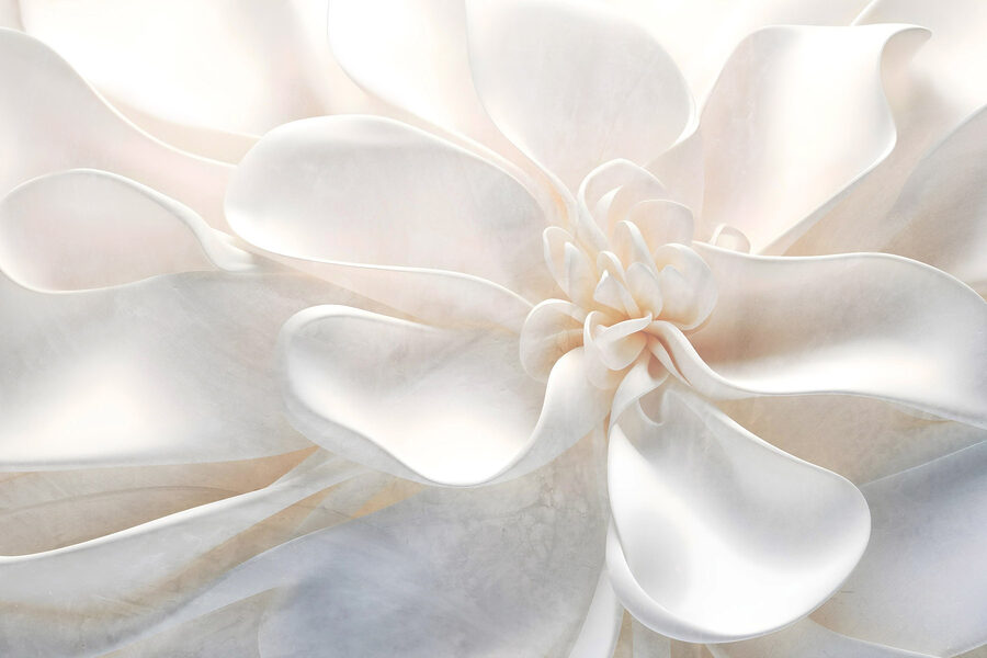 Des couches délicates de beauté florale