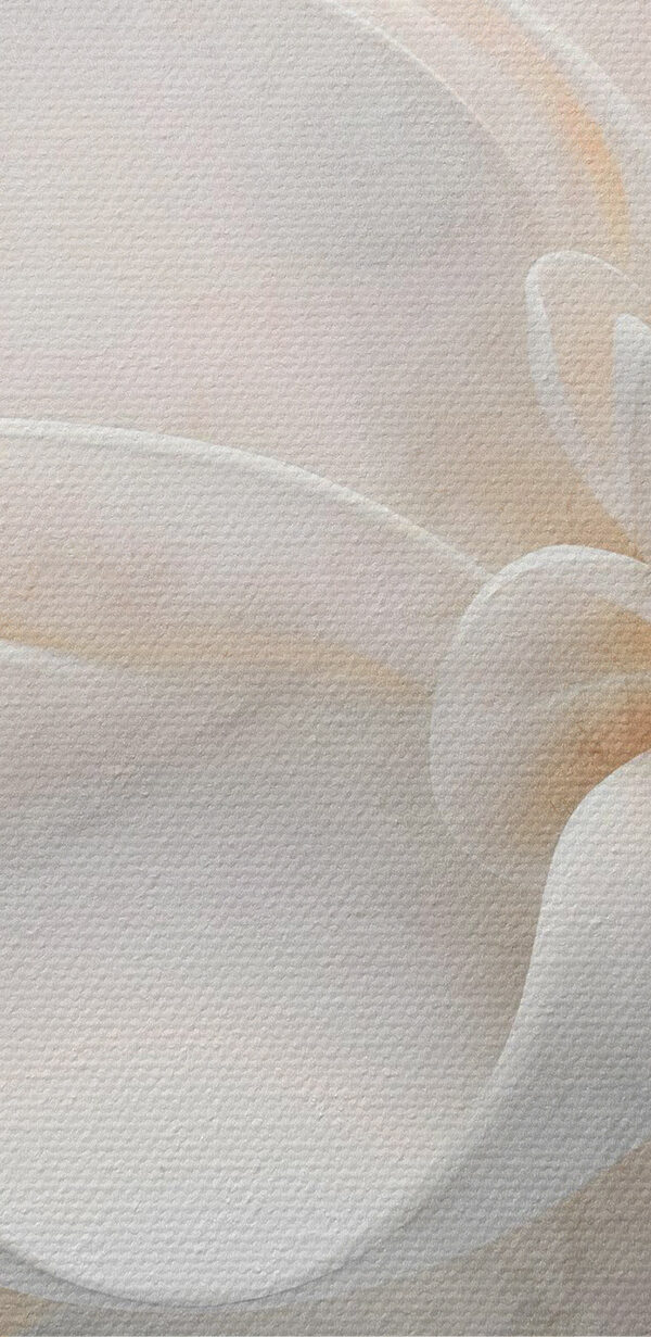 Des couches délicates de beauté florale Des couches délicates de beauté florale