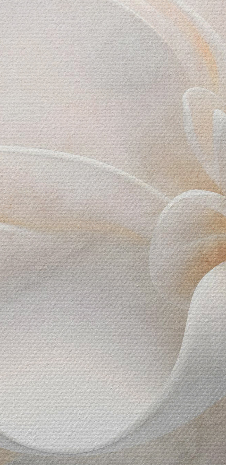 Des couches délicates de beauté florale
