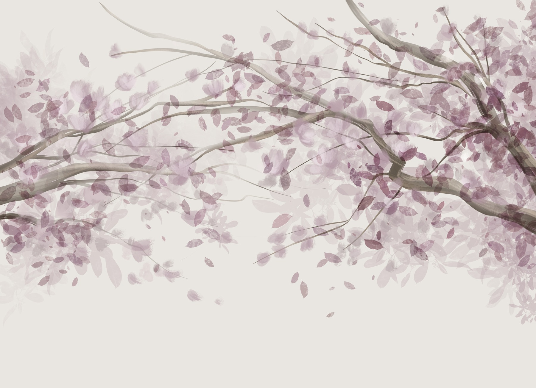 Tree with purple leaves Tree with purple leaves