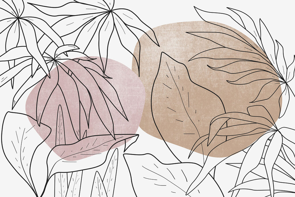 Dessin de feuilles et de plantes Dessin de feuilles et de plantes