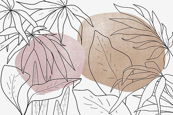 Dessin de feuilles et de plantes Dessin de feuilles et de plantes