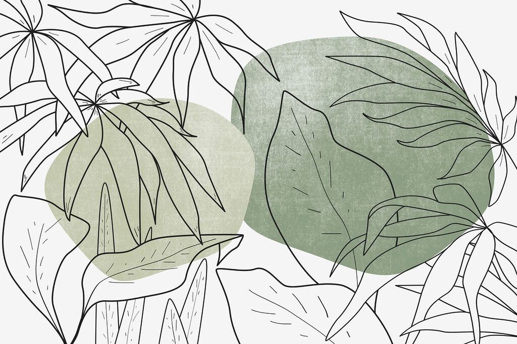 Dessin de feuilles et de plantes Dessin de feuilles et de plantes