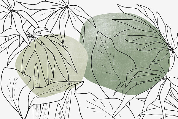 Dessin de feuilles et de plantes Dessin de feuilles et de plantes