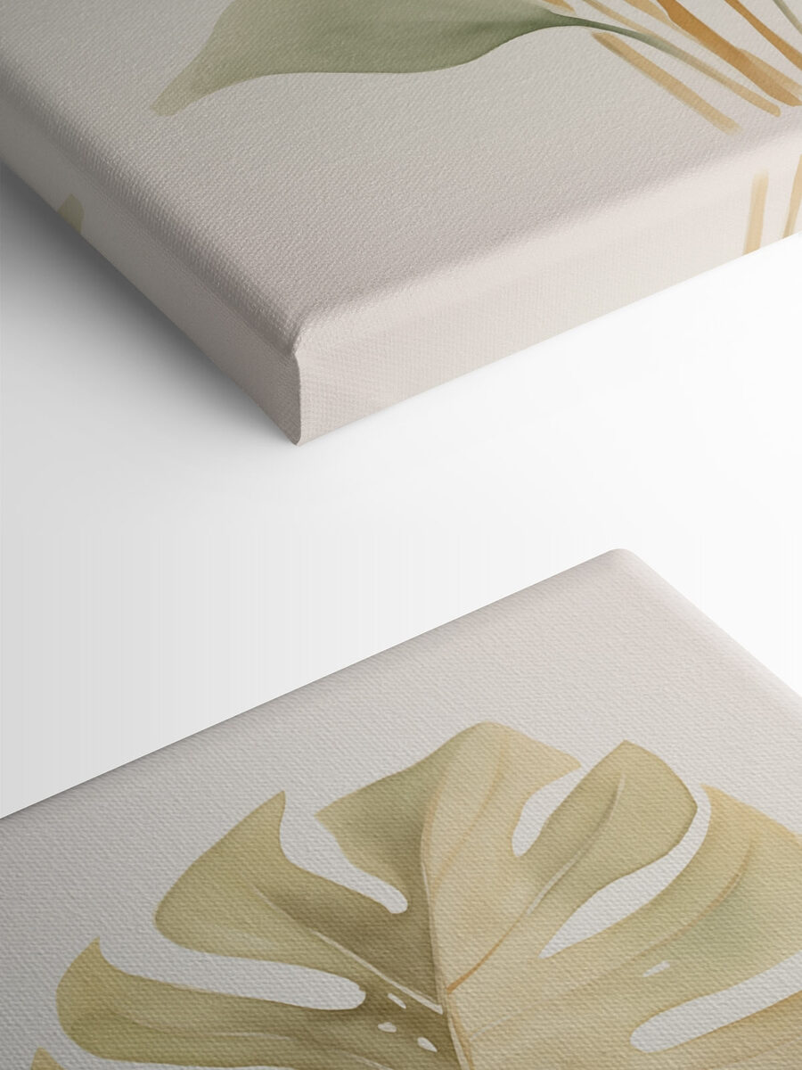 Groupe de feuilles sur fond blanc