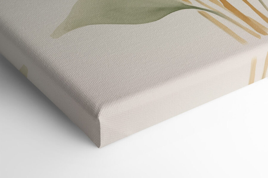 Groupe de feuilles sur fond blanc