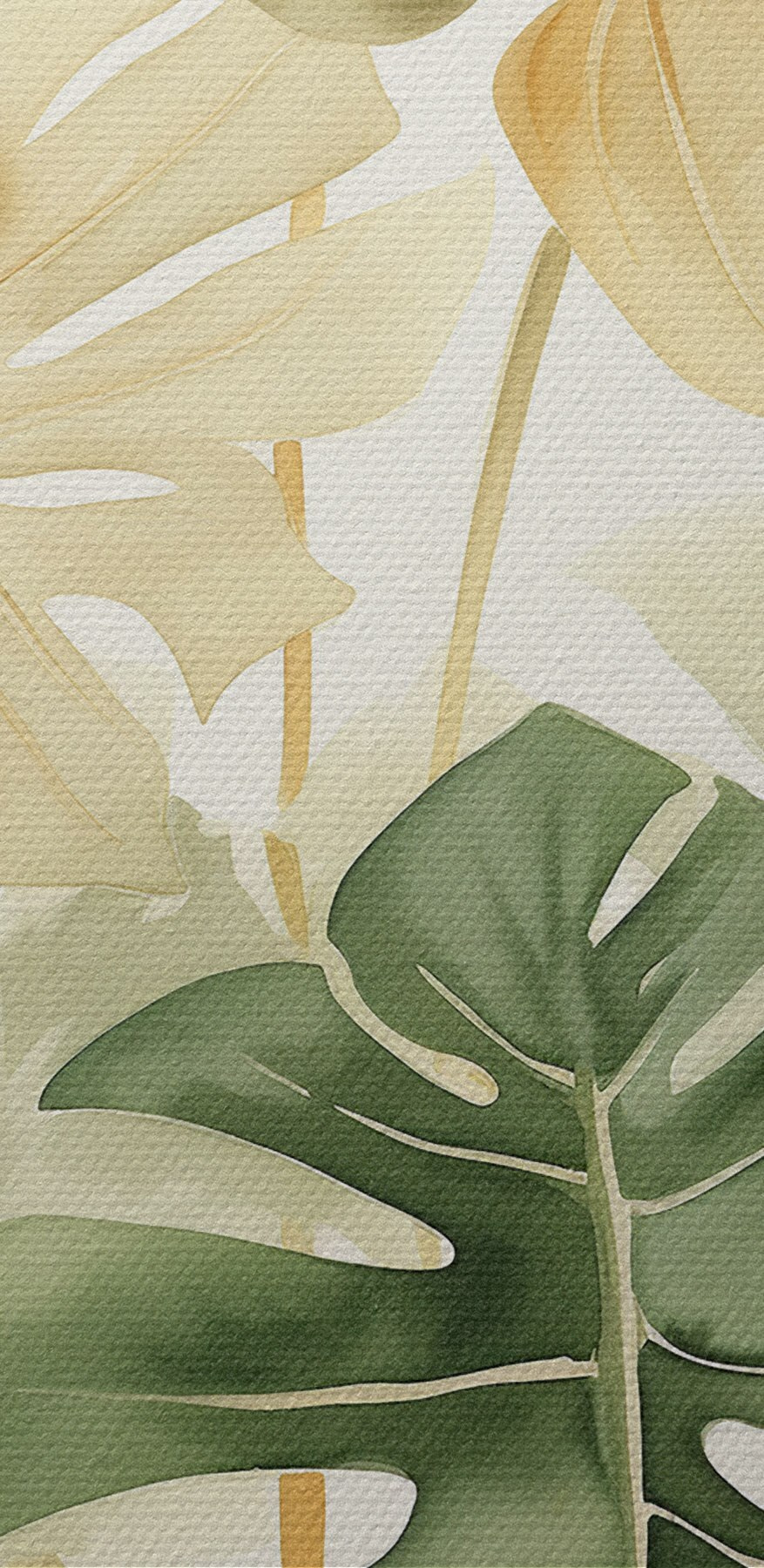 Groupe de feuilles sur fond blanc
