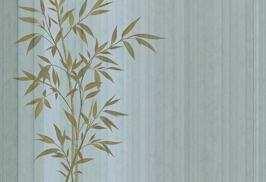 Plante avec des feuilles Plante avec des feuilles