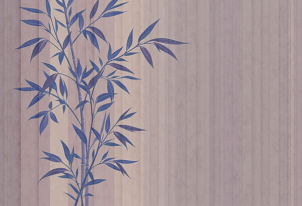 Plante à feuilles bleues Plante à feuilles bleues
