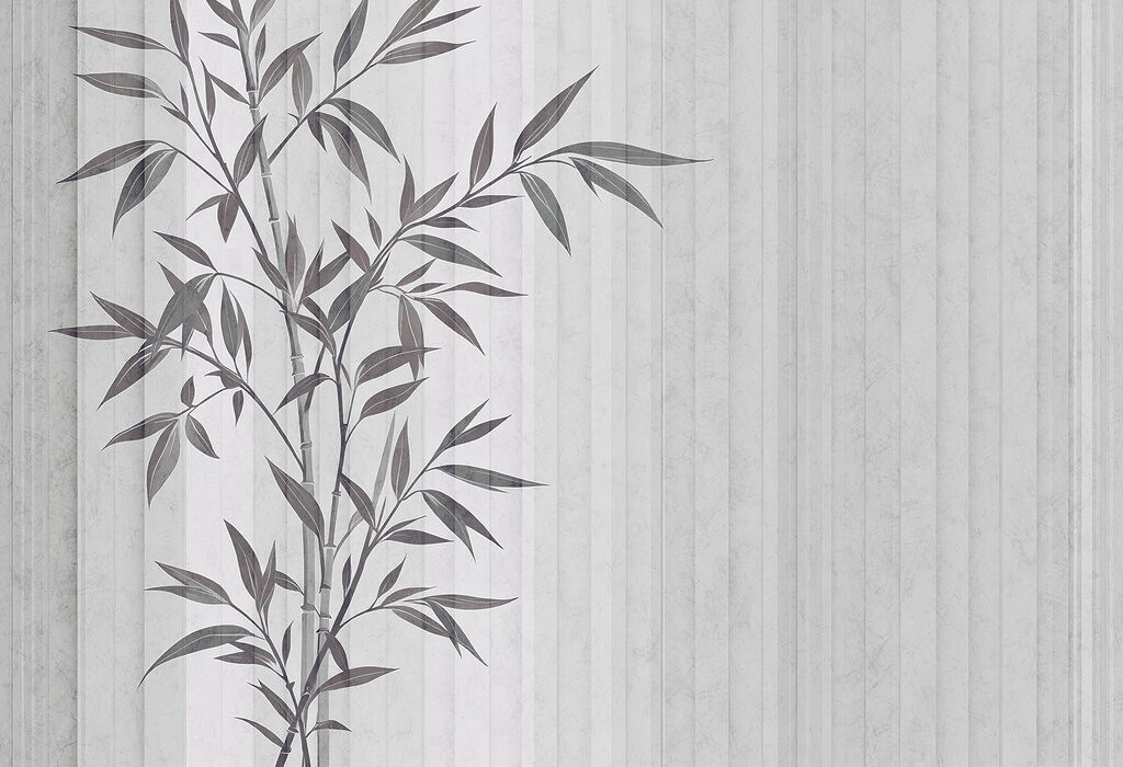 Plante avec des feuilles Plante avec des feuilles