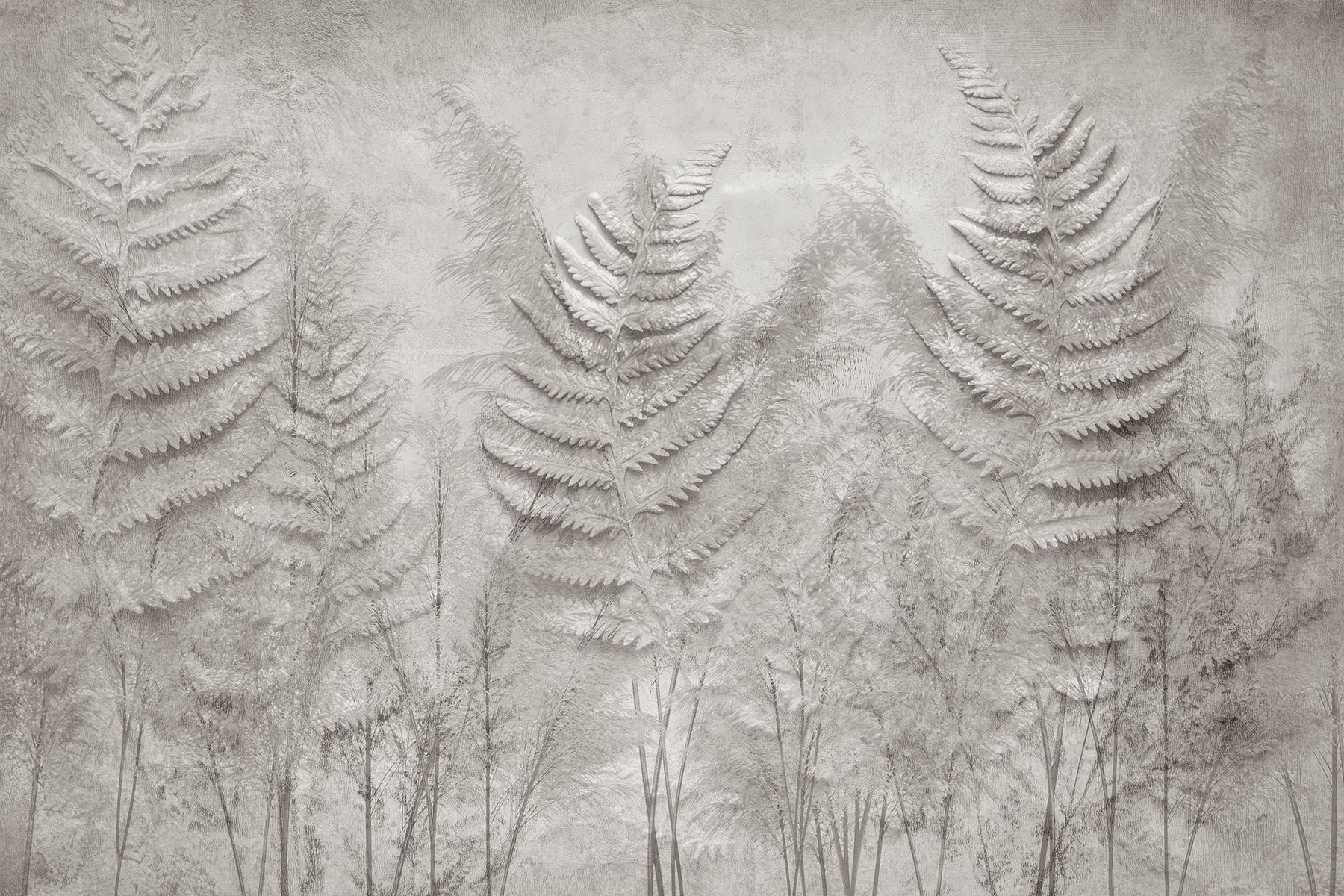 Fern fronds in a row Fern fronds in a row