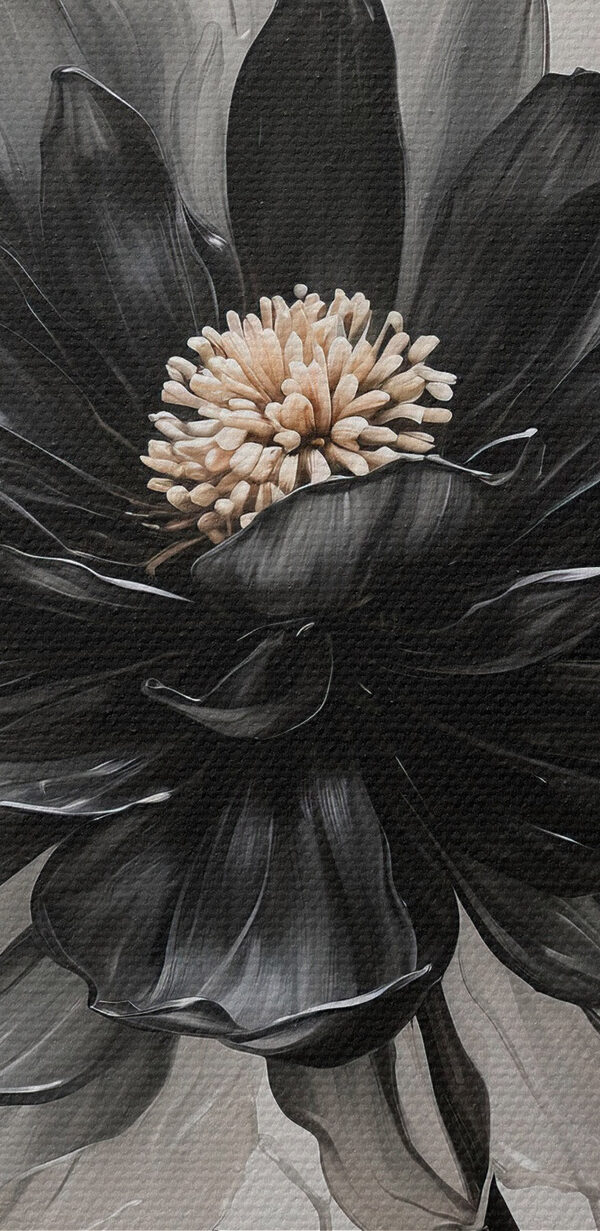 Fleur noire et blanche Fleur noire et blanche
