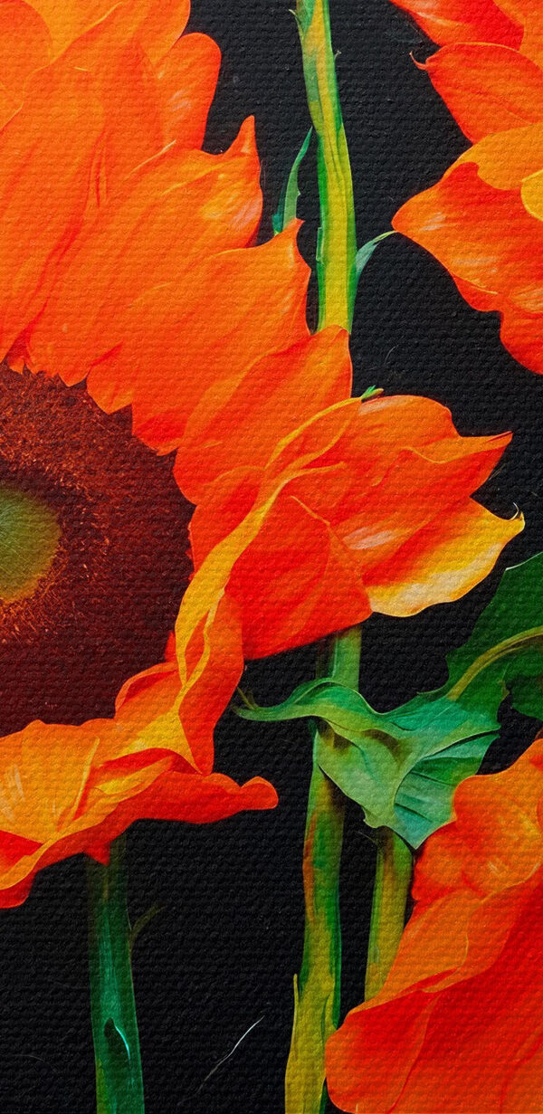 Groupe de fleurs orange Groupe de fleurs orange