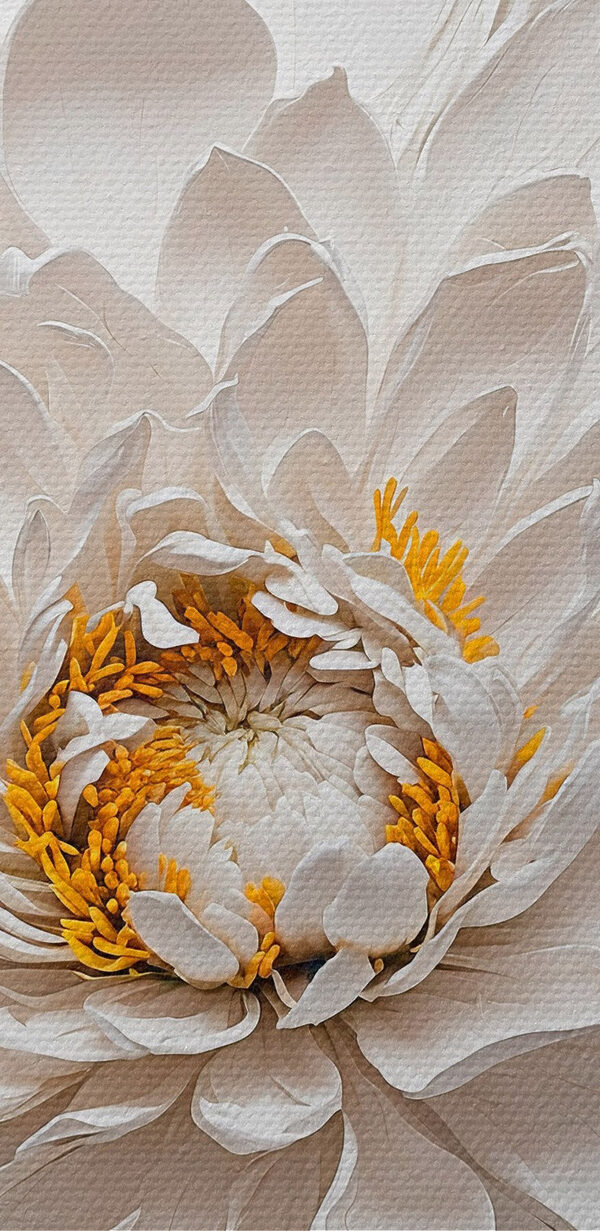 Fleur blanche avec centre jaune Fleur blanche avec centre jaune