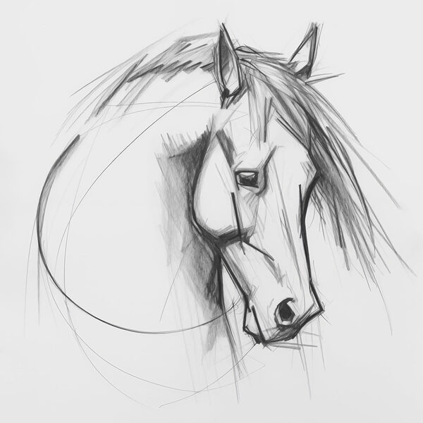 Dessin d'un cheval Dessin d'un cheval