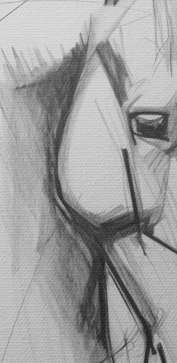 Dessin d'un cheval Dessin d'un cheval