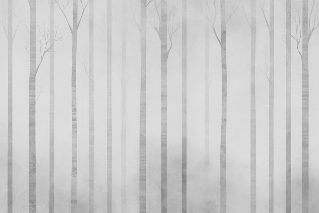 Groupe d'arbres dans le brouillard Groupe d'arbres dans le brouillard