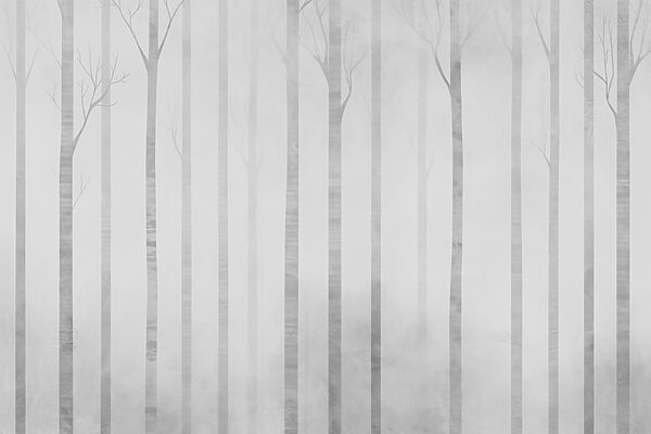Groupe d'arbres dans le brouillard Groupe d'arbres dans le brouillard