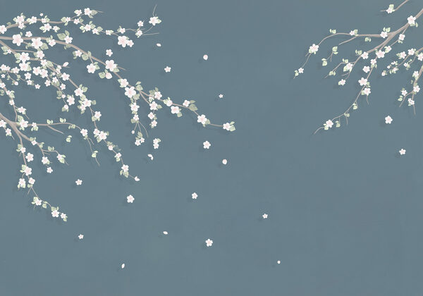 Branche d'arbre avec des fleurs blanches Branche d'arbre avec des fleurs blanches