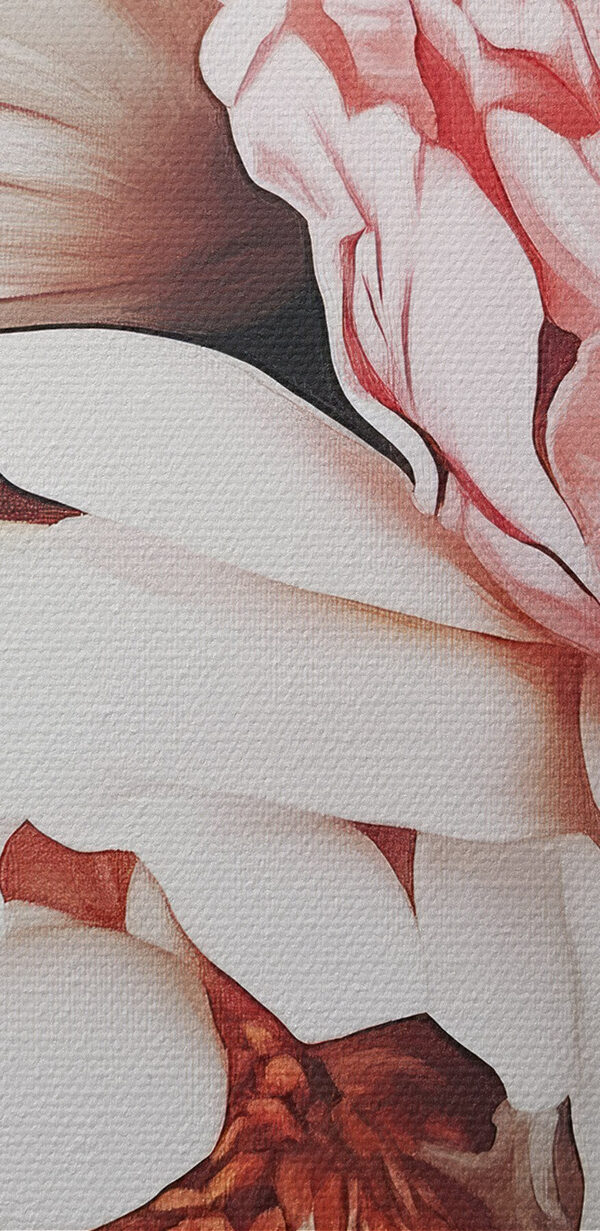 Des fleurs éclatantes en pleine floraison Des fleurs éclatantes en pleine floraison