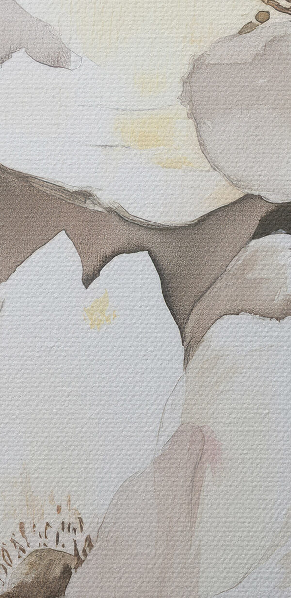 Des fleurs délicates aux teintes douces Des fleurs délicates aux teintes douces