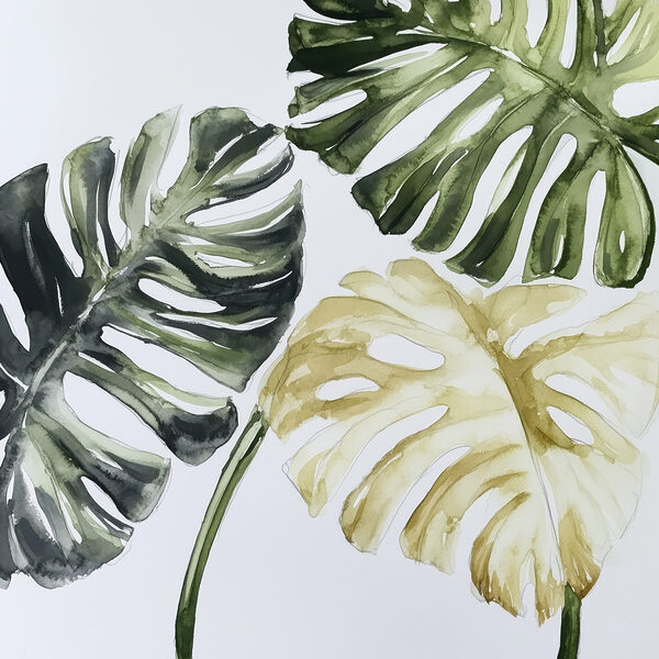 Groupe de feuilles sur fond blanc Groupe de feuilles sur fond blanc