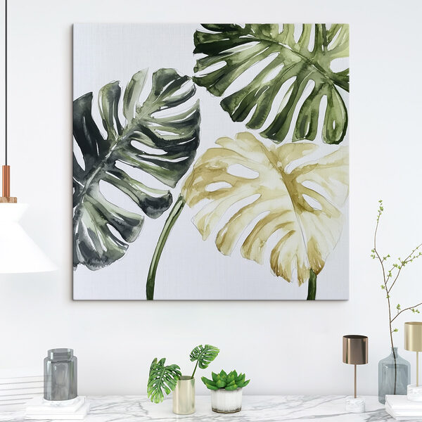 Groupe de feuilles sur fond blanc Groupe de feuilles sur fond blanc