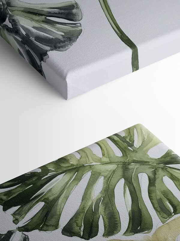 Groupe de feuilles sur fond blanc Groupe de feuilles sur fond blanc