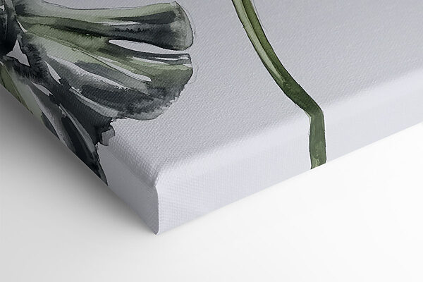 Groupe de feuilles sur fond blanc Groupe de feuilles sur fond blanc
