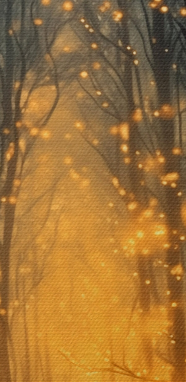Chemin à travers une forêt avec de nombreux arbres avec des lumières Chemin à travers une forêt avec de nombreux arbres avec des lumières