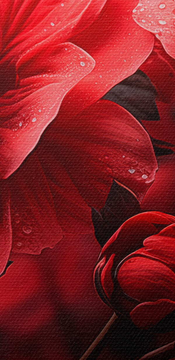 Groupe de fleurs rouges Groupe de fleurs rouges