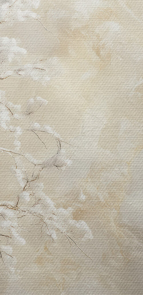 Snow covered trees in a snowy landscape