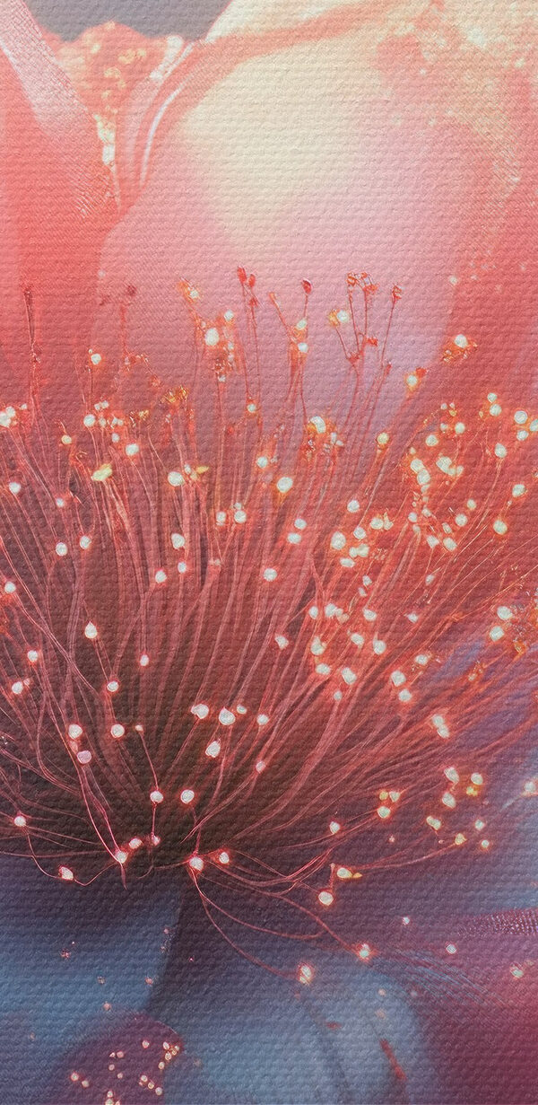 Fleurs délicates dans des tons pastel doux Fleurs délicates dans des tons pastel doux