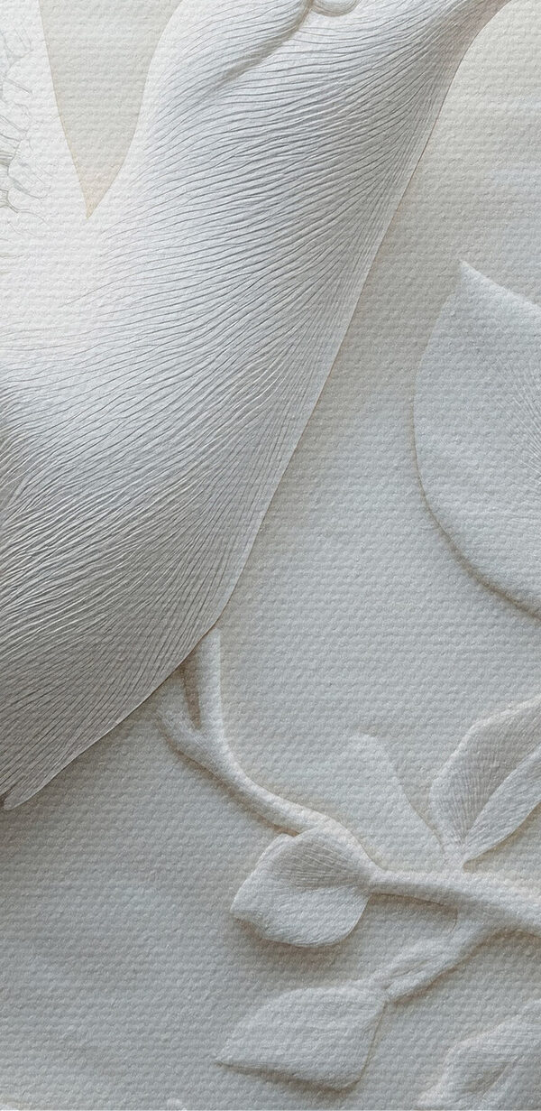 Oiseau et fleur blancs Oiseau et fleur blancs