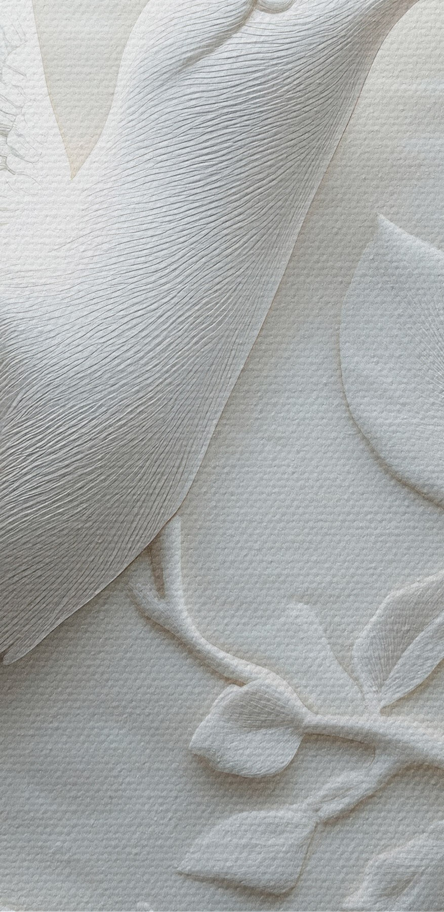 Oiseau et fleur blancs Oiseau et fleur blancs