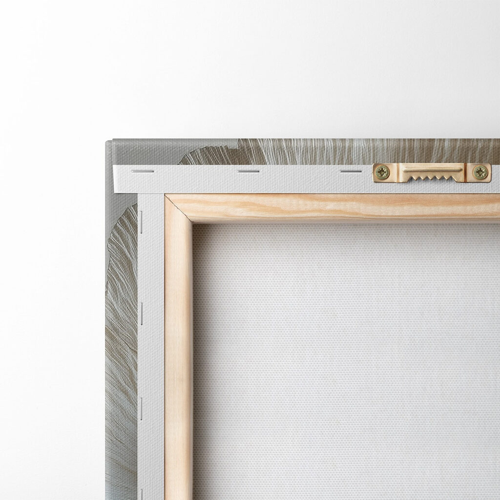 Delicate textured flower petals displayed Delicate textured flower petals displayed